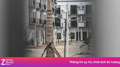 Nettsvindel i Sørøst-Asia blir stadig mer sofistikerte.