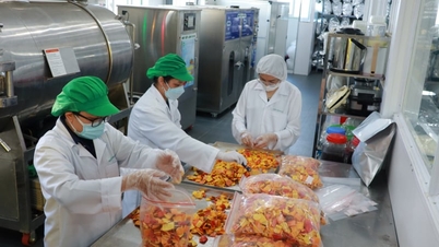 Dzięki głębokiemu przetworzeniu produkty rolne z Lam Dong mogą być sprzedawane po cenach pięciokrotnie wyższych.