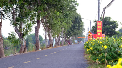 Can Tho Rural: Do estilo de vida à produção verde