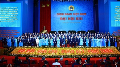 សហជីព​វៀតណាម​តែងតែ​ឈរ​នៅ​ខាង​កម្មករ និង​ការពារ​ផលប្រយោជន៍​ស្របច្បាប់​របស់​កម្មករ។