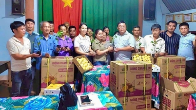 ຊາວກະສິກອນໃນ Cu M'gar ຮ່ວມມືກັນພັດທະນາກະສິກຳສີຂຽວ.