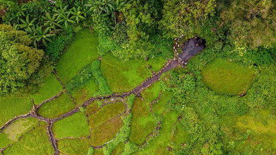 La UNESCO está colaborando con la provincia de Quang Tri para preparar los expedientes necesarios para la inscripción de los sitios patrimoniales.