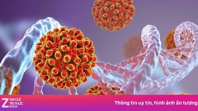 Neues Medikament weckt Hoffnung auf Heilung von Hepatitis B.