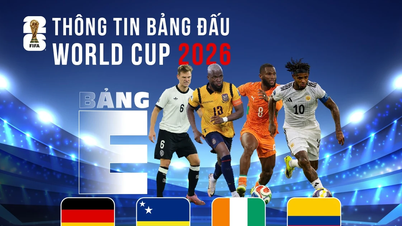 FIFA World Cup 2026 Group E Information: 'The German Tank' and the Challengers