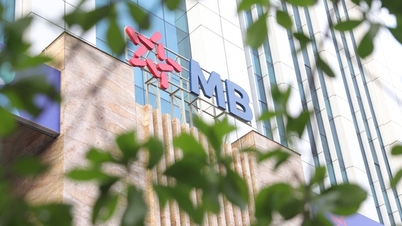 Η MB εκδίδει ομόλογα ύψους 1,9 τρισεκατομμυρίων VND.