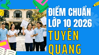 Admission scores for 10th grade in Tuyen Quang in 2026