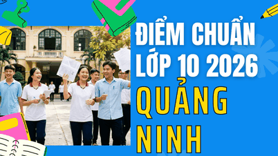 Quang Ninh'de 2026 yılı 10. sınıf giriş sınavı geçme notları.