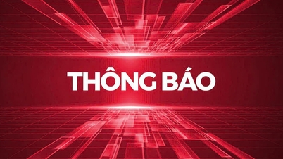 Die Saigon Co.op Department Store Company Limited gibt eine Ausschreibung bekannt.