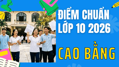 Wyniki egzaminu wstępnego do klasy 10 w 2026 r. w Cao Bang