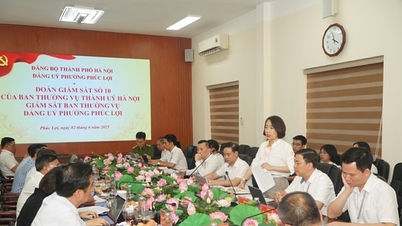 Đoàn Giám sát số 10 của Ban Thường vụ Thành ủy Hà Nội làm việc với phường Phúc Lợi