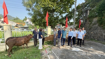 Chăm lo cho người khuyết tật, trẻ mồ côi