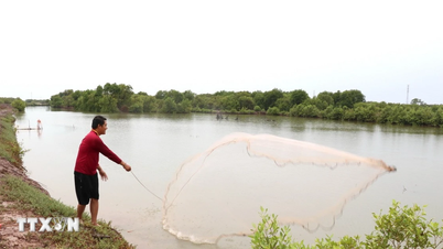 វិញឡុង៖ ព្រៃកោងកាងក្លាយជា «ខែល» សម្រាប់ជលផល។