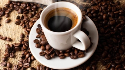 ราคาเมล็ดกาแฟวันนี้ 3 มิถุนายน 2569: ราคาในประเทศยังคงลดลงอย่างต่อเนื่อง