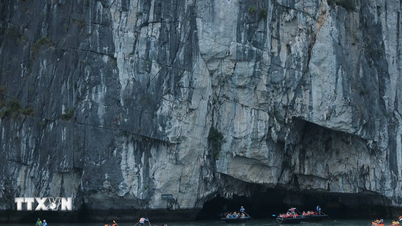 Quang Ninh: Verwacht wordt dat de stad in de eerste vijf maanden van 2026 meer dan 10 miljoen toeristen zal verwelkomen.