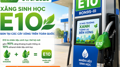De ce nu anunță Ministerul Industriei și Comerțului prețul benzinei E10, lăsând în schimb la latitudinea companiilor să îl calculeze singure?