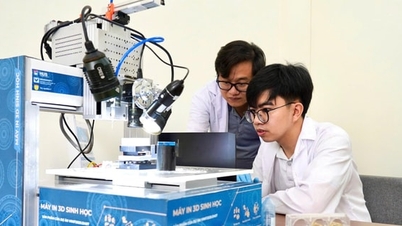 STEM ক্ষেত্রগুলিতে প্রতিভা প্রশিক্ষণ কর্মসূচি বাস্তবায়ন করুন।