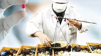 La medicina tradizionale rappresenta ormai oltre il 5% della spesa sanitaria; è stata avanzata una proposta per ampliare l'elenco dei farmaci coperti.