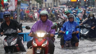 Ciudad Ho Chi Minh: Determinación del porcentaje de contribución al fondo de prevención y control de desastres.