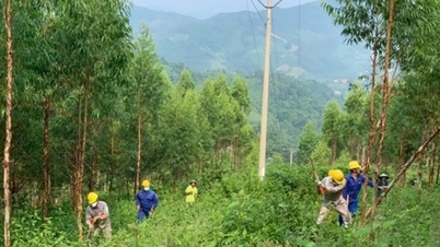 การรับประกันความปลอดภัยของระบบส่งไฟฟ้าเกิดจากความตระหนักและความรับผิดชอบของชุมชน