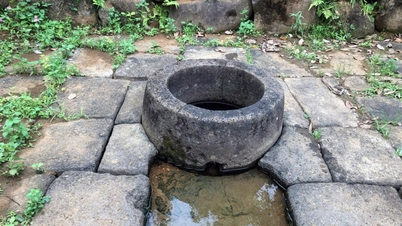 אונסק"ו וייטנאם מוכנה לעבוד יחד כדי לקדם מורשת בצורה יעילה.