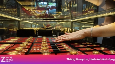 Gold prices have fallen by another half million dong, nearing their 2026 low.