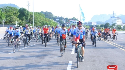 Andare in bicicletta per un ambiente più verde