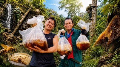សិល្បៈនៃការបរបាញ់ឃ្មុំ