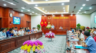 Møde i organisationskomitéen for Ca Mau Marathon 2025 - PETROVIETNAM Cup