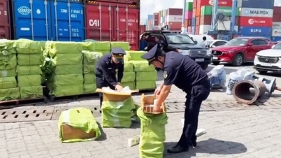 Meningkatkan peranan proaktif Kastam dalam melindungi hak harta intelek di lintasan sempadan.