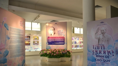 The exhibition 'Ordinary but Noble Examples' at the Ho Chi Minh Museum