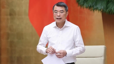 Prime Minister: More decisive solutions are needed for sectors experiencing undergrowth.