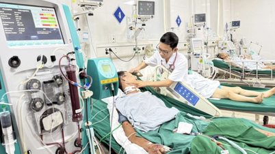 3 ngày sau ăn món khoái khẩu, người đàn ông suy đa tạng