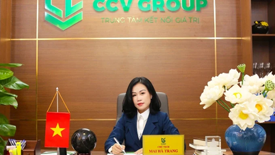 ประธานกลุ่มบริษัท CCV โกงเงินผู้คนหลายร้อยคนไปกว่า 1 ล้านล้านดองได้อย่างไร?