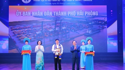 Thành phố Hải Phòng được biểu dương Thành tựu vì Việt Nam số năm 2026