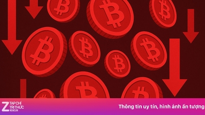 El precio del Bitcoin se desploma.