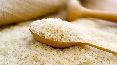 قیمت برنج امروز، ۳ ژوئن ۲۰۲۶: قیمت برنج اندکی افزایش یافت.