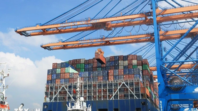 Agencia Económica Francesa: La economía de Vietnam se acelera en medio de la incertidumbre global.