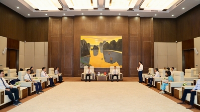 Phó Chủ tịch UBND thành phố Hoàng Minh Cường tiếp Đoàn công tác Đại sứ quán Hàn Quốc tại Việt Nam