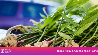 This familiar herb is just as nourishing as ginseng.
