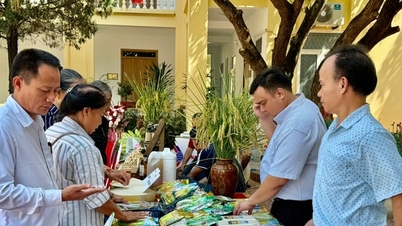ការតភ្ជាប់ខ្សែសង្វាក់តម្លៃ និងពង្រីកហាងលក់ផលិតផលកសិកម្មរបស់ទីក្រុងហាណូយ។