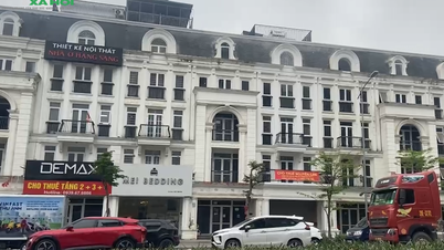Hanoi: Überraschende Preise für Gewerbe-Stadthäuser in der Gemeinde Hoai Duc im Juni 2026.