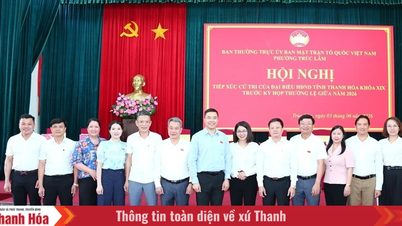 ສຸມໃສ່ການແກ້ໄຂຢ່າງລະອຽດກ່ຽວກັບຄວາມຄິດເຫັນ ແລະ ຄຳແນະນຳຂອງຜູ້ມີສິດເລືອກຕັ້ງ.