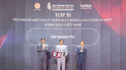 Grupul TTC - Top 10 companii de top în dezvoltare imobiliară industrială din Vietnam