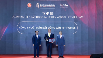 T&T Homes räumt bei den 2. Vietnam National Real Estate Awards gleich doppelt ab.
