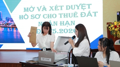Da Nang nabízí krátkodobý pronájem 14 pozemků v okresech Son Tra a Hoa Xuan.