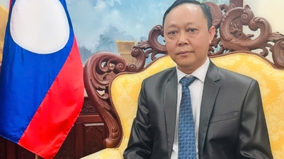 ویتنام و لائوس به طور مشترک یک زنجیره تأمین ۴ میلیارد دلاری ایجاد می‌کنند.