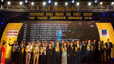 Vice President of VCCI: The Vietnam Industry, Trade, and Service Award encourages businesses to strive for excellence.