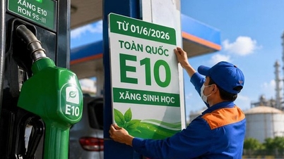 Na co pamatovat pro bezpečné a efektivní používání benzínu E10.