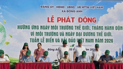 Dong Anh lansează Luna Acțiunii pentru Mediu 2026.