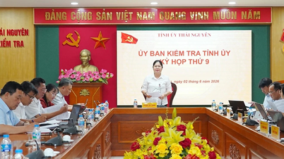 Thai Nguyen: Bývalý předseda lidového výboru obce vyloučen ze strany